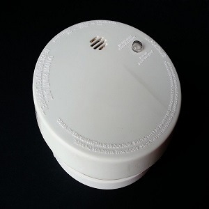 MAINTENANCE OF THE SECURITY ALARMS MAINTENANCE OF THE SECURITY ALARMS